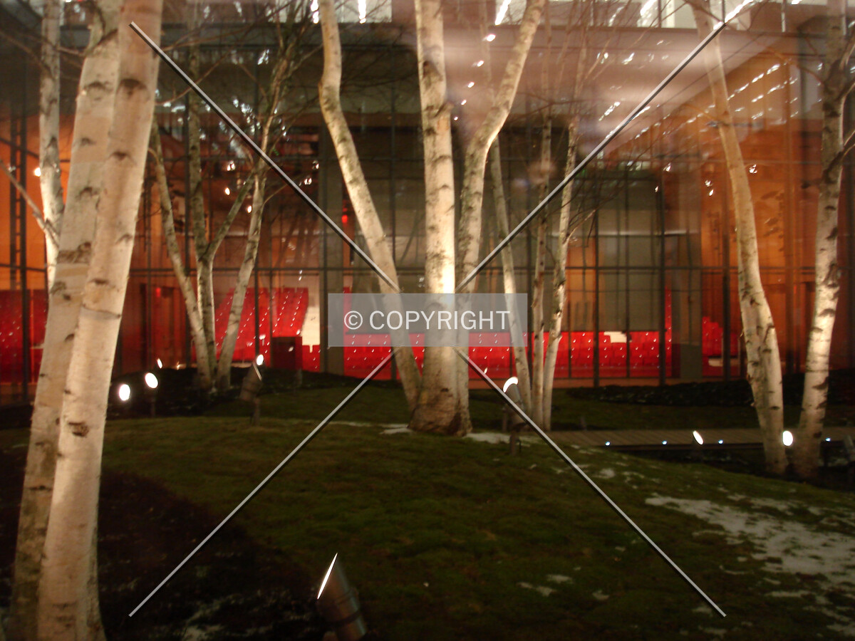 Garden area at night