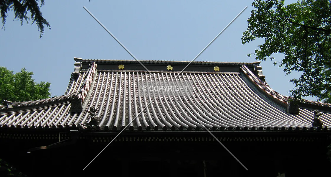 Photo 328-399-048