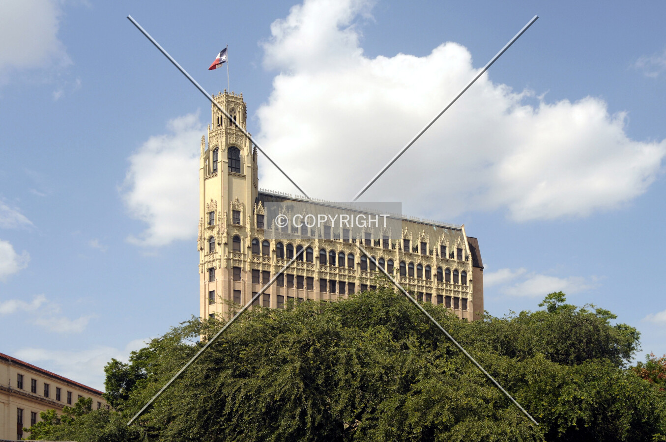 View from the south