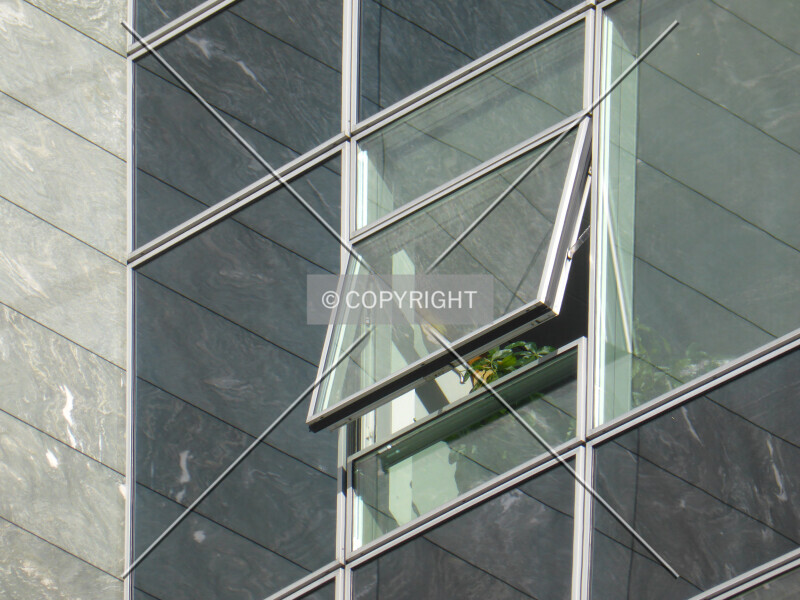 Photo 329-302-132