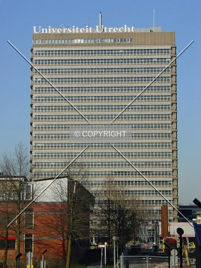 View from Cambridgelaan