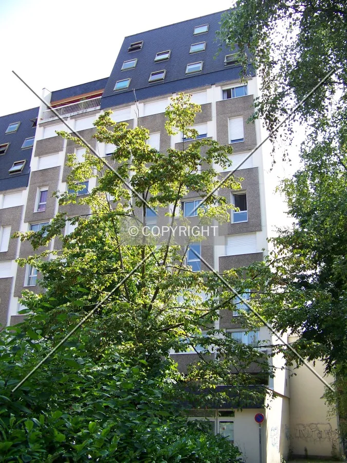 View from the west