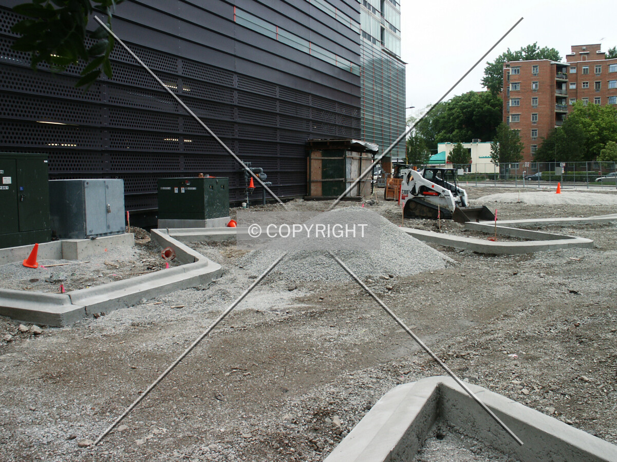 Looking north across the parking area and yard