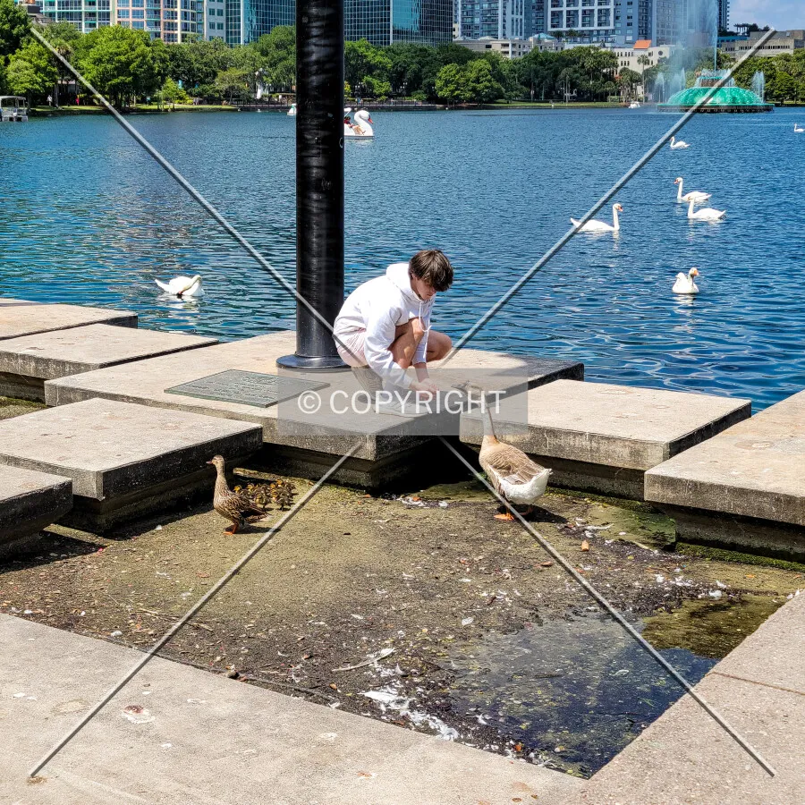 A man feeding birds by the lake; May 29, 2021