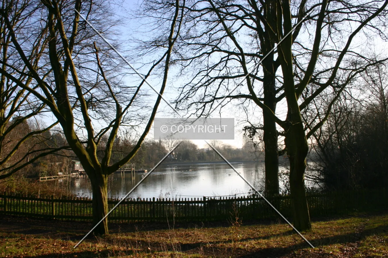 Hampstead Heath and bathing pond