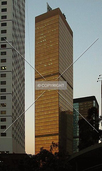 Photo 330-206-965