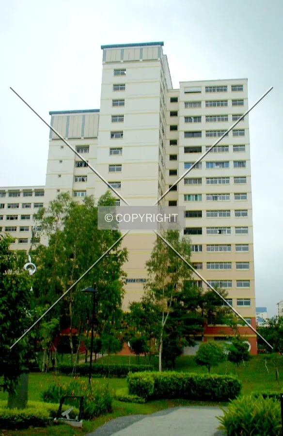 View from Brantonsaur Park