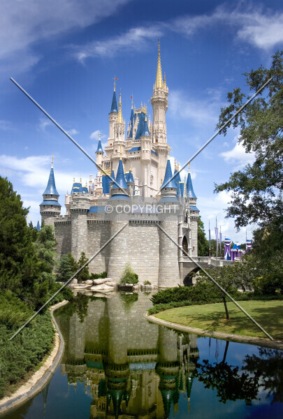 Cinderella's Castle
