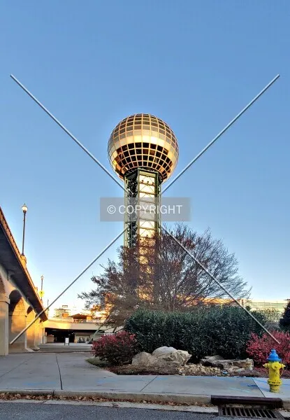 Photo 330-773-461