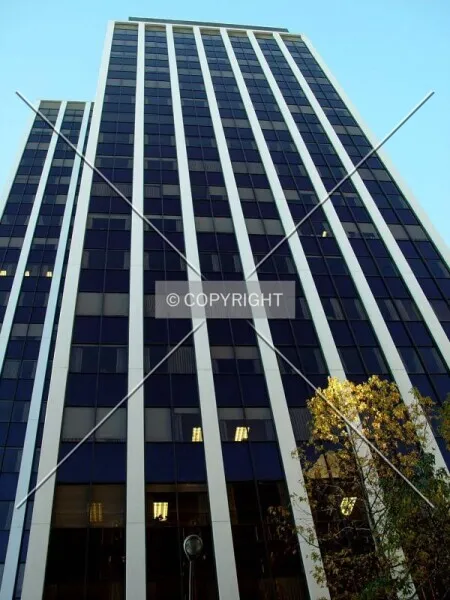 Photo 330-796-494