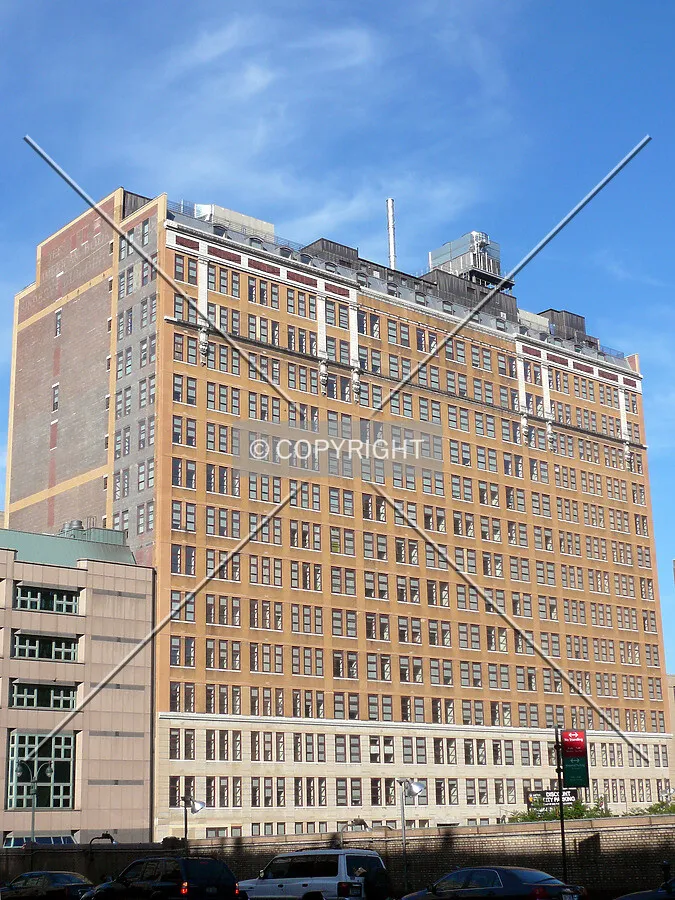 View from the northeast