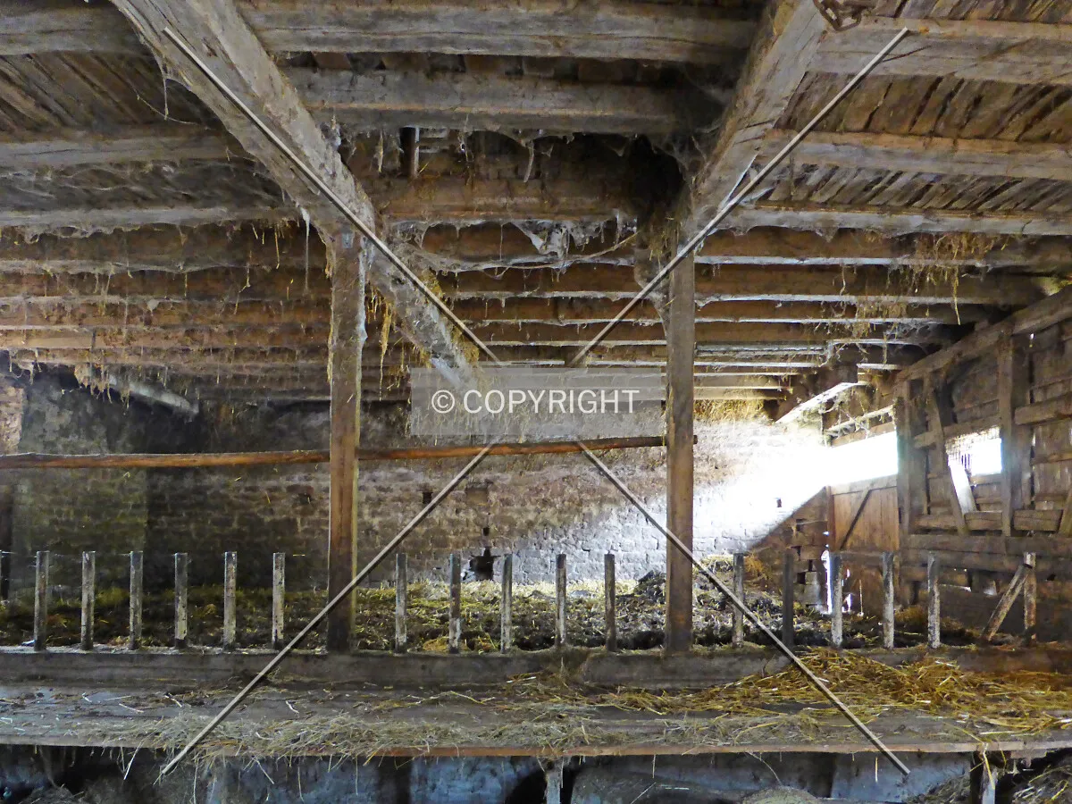Photo 331-173-784
