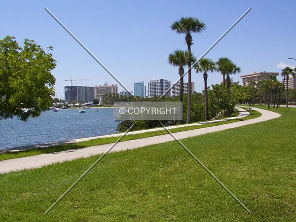 Western skyline looking north from the bayside