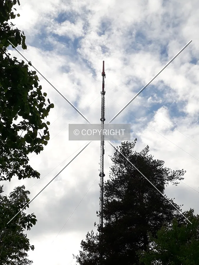 Photo 332-187-234