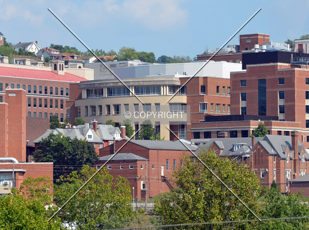 View from the southwest