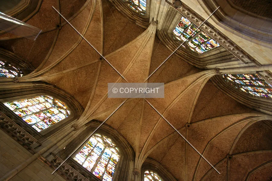 Photo 332-396-051