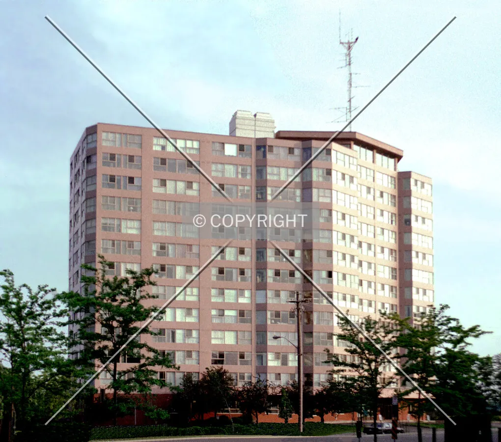 View from the north