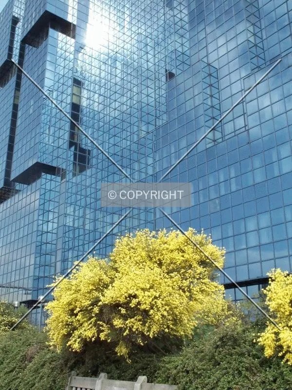 View of the reflective facade