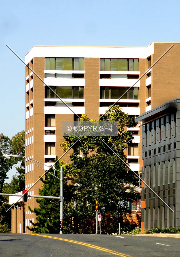 From across Spring Street to the east