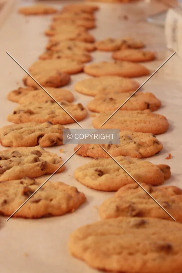 Cookies that are cooling from the oven