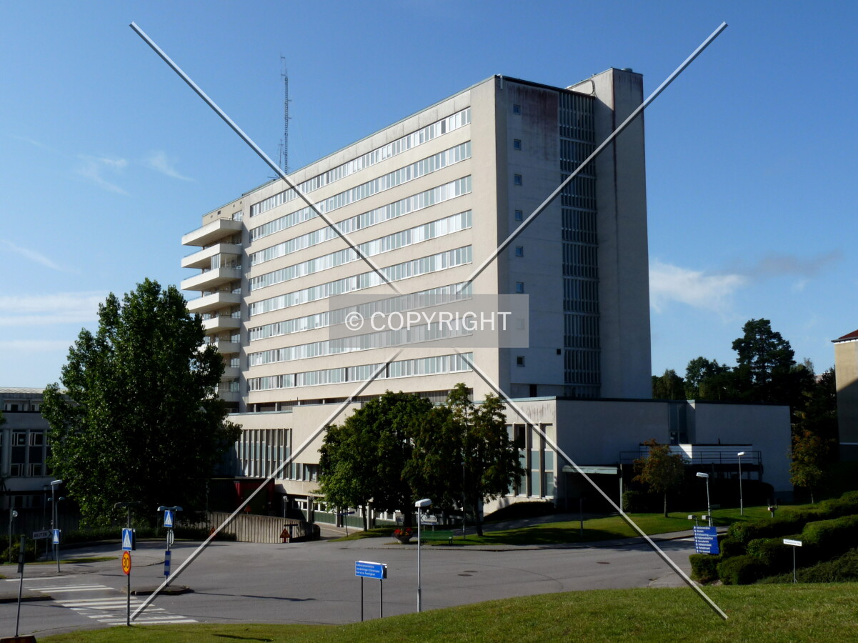 View from the north