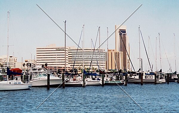 View from T-Heads