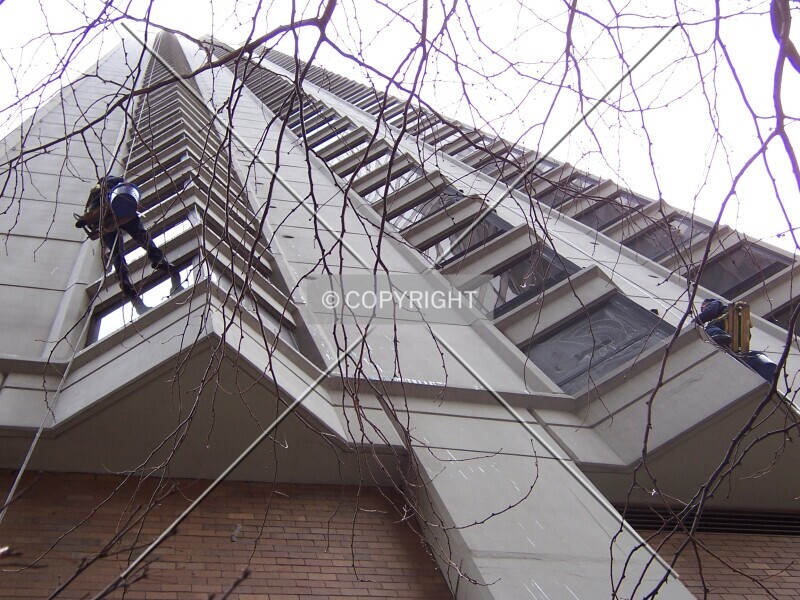Photo 334-222-152