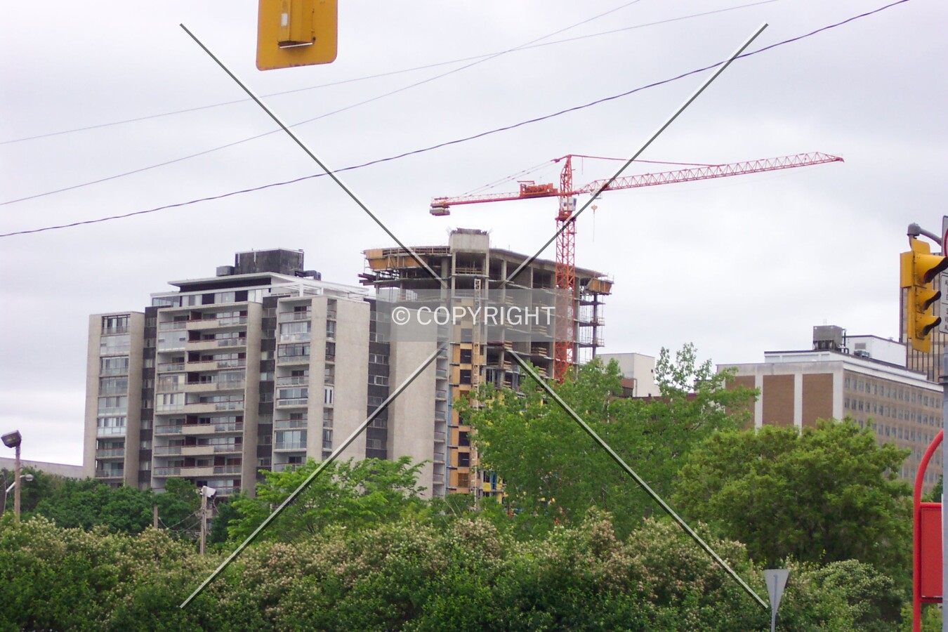 View from Albert Street, near the Transitway