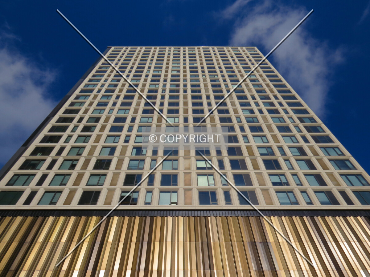 Looking up from Marquette Avenue