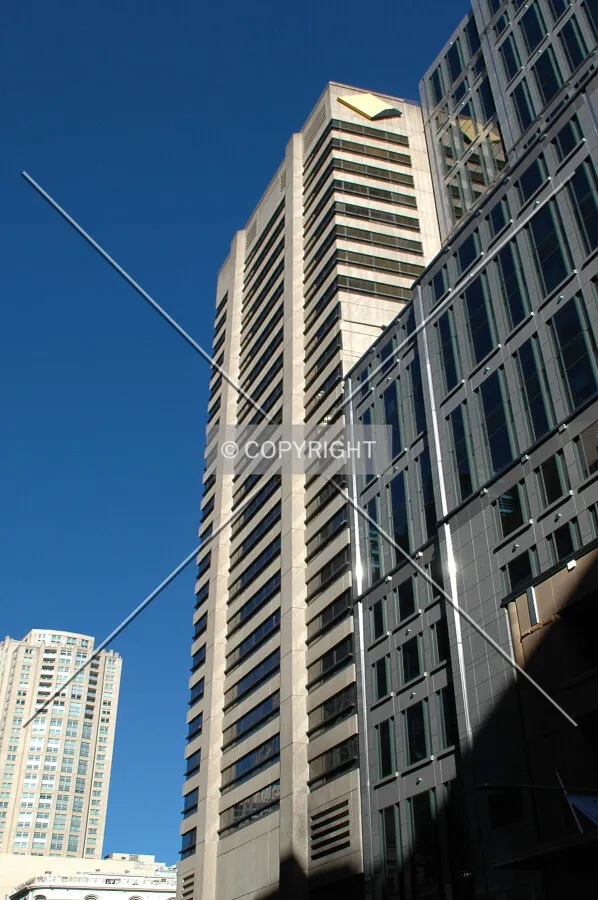 Looking up from Pitt Street