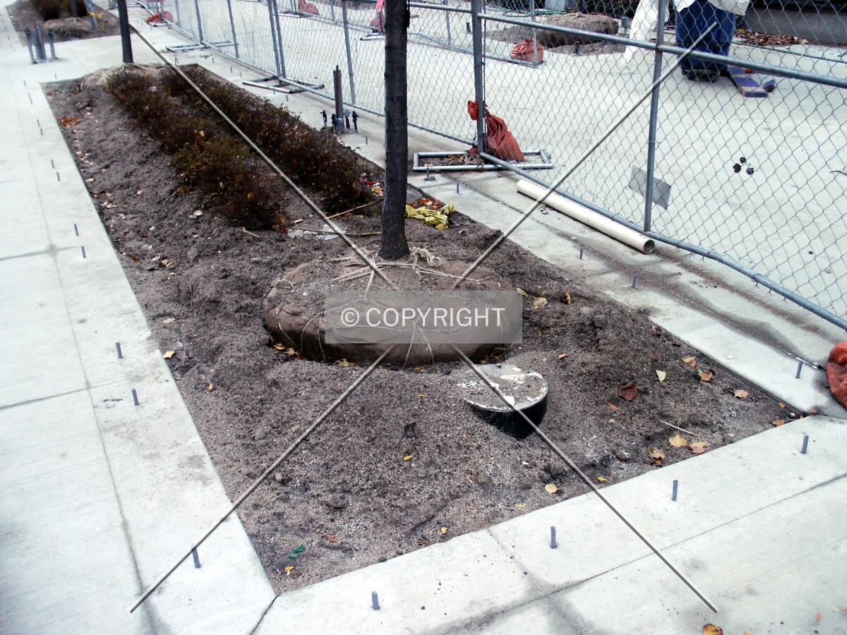 Landscaping by Fairbanks Court