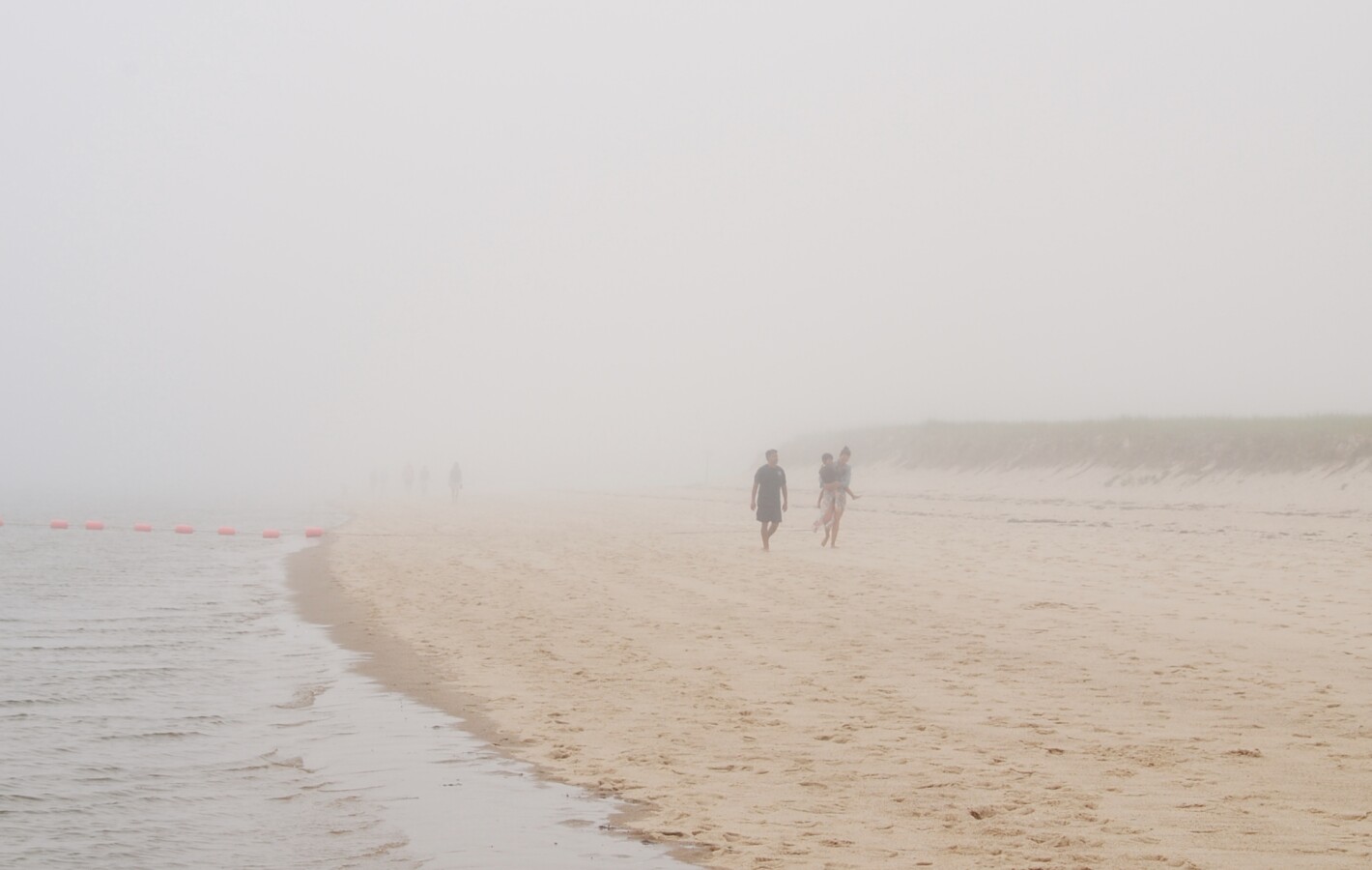 Beachgoers in the fog