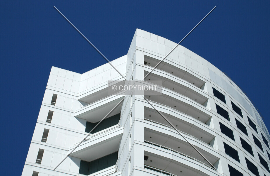 Photo 335-909-342