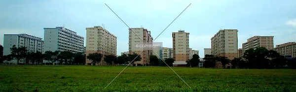 View from Block 351