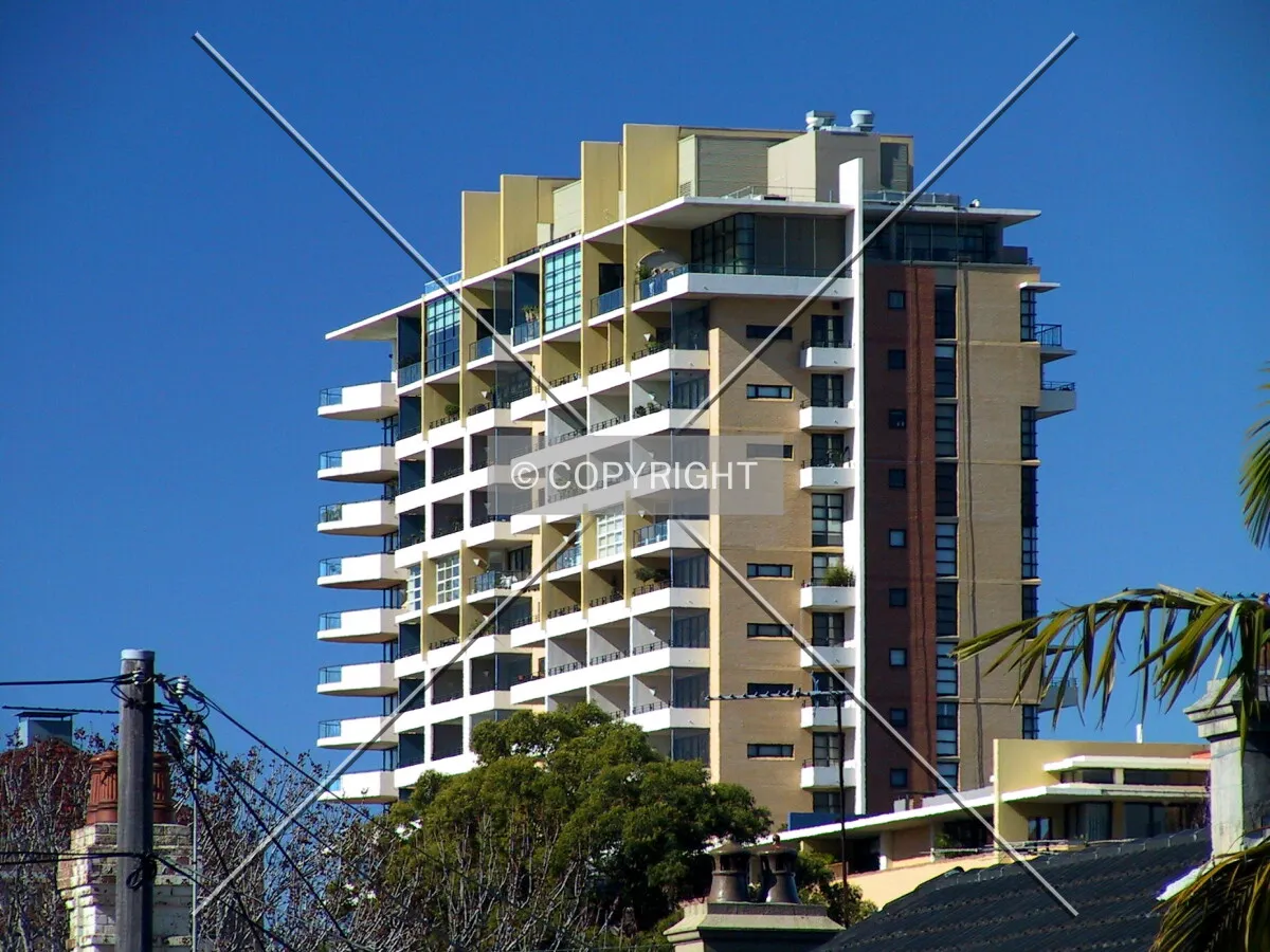 View from Zamia Street
