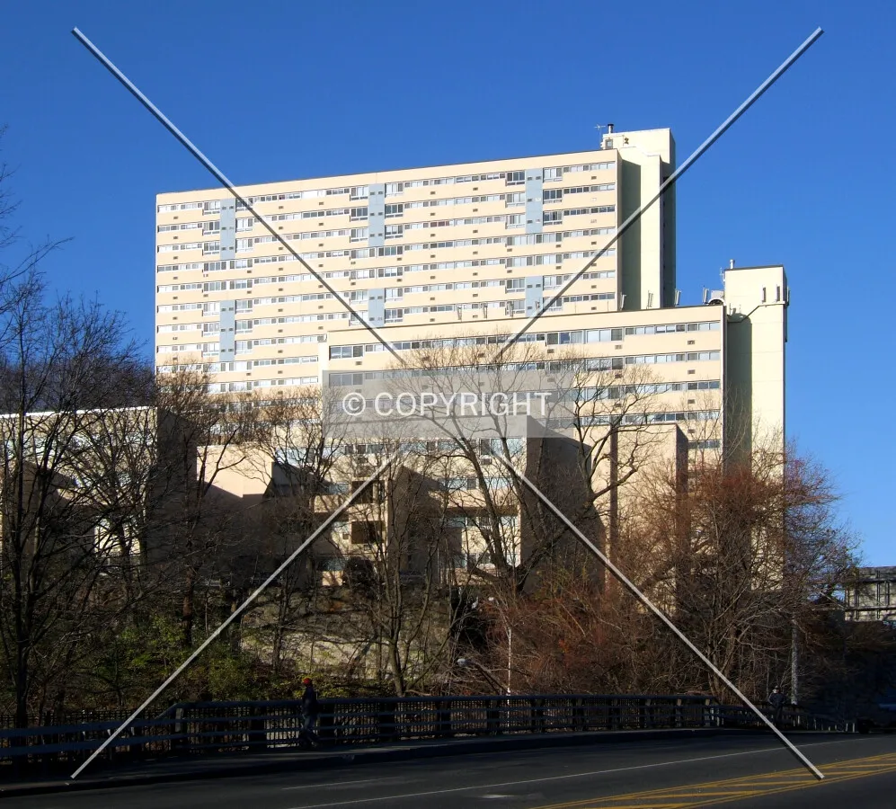 View from the east