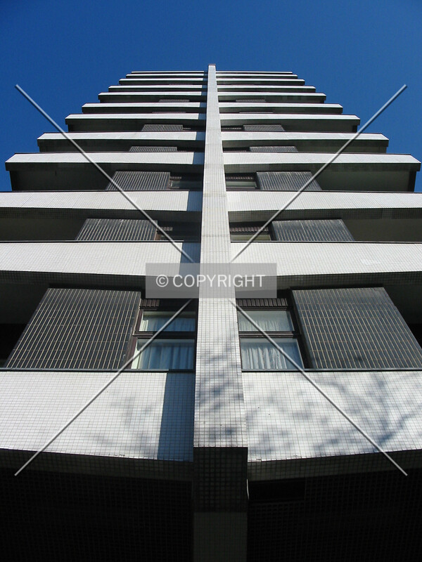 Looking up from The Water Gardens