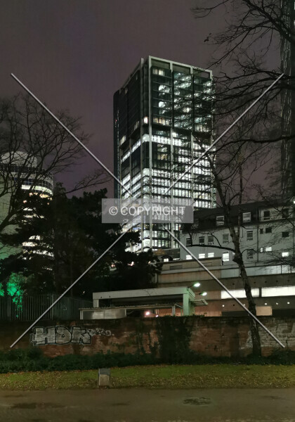 Photo 337-003-851