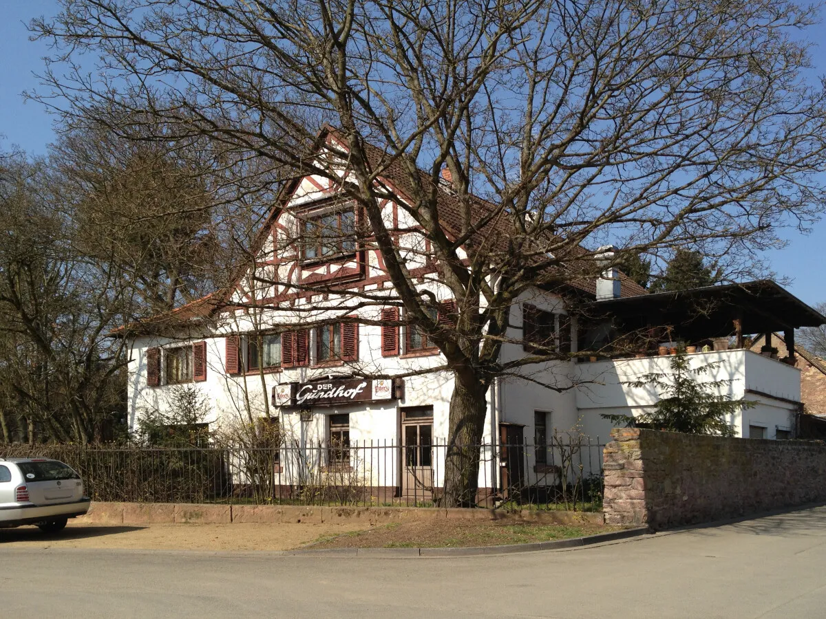 Photo 337-017-215