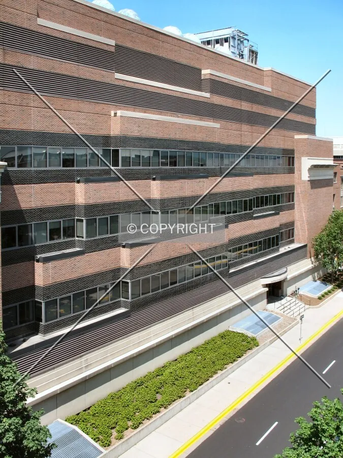 East facade from the Washington Avenue Ramp