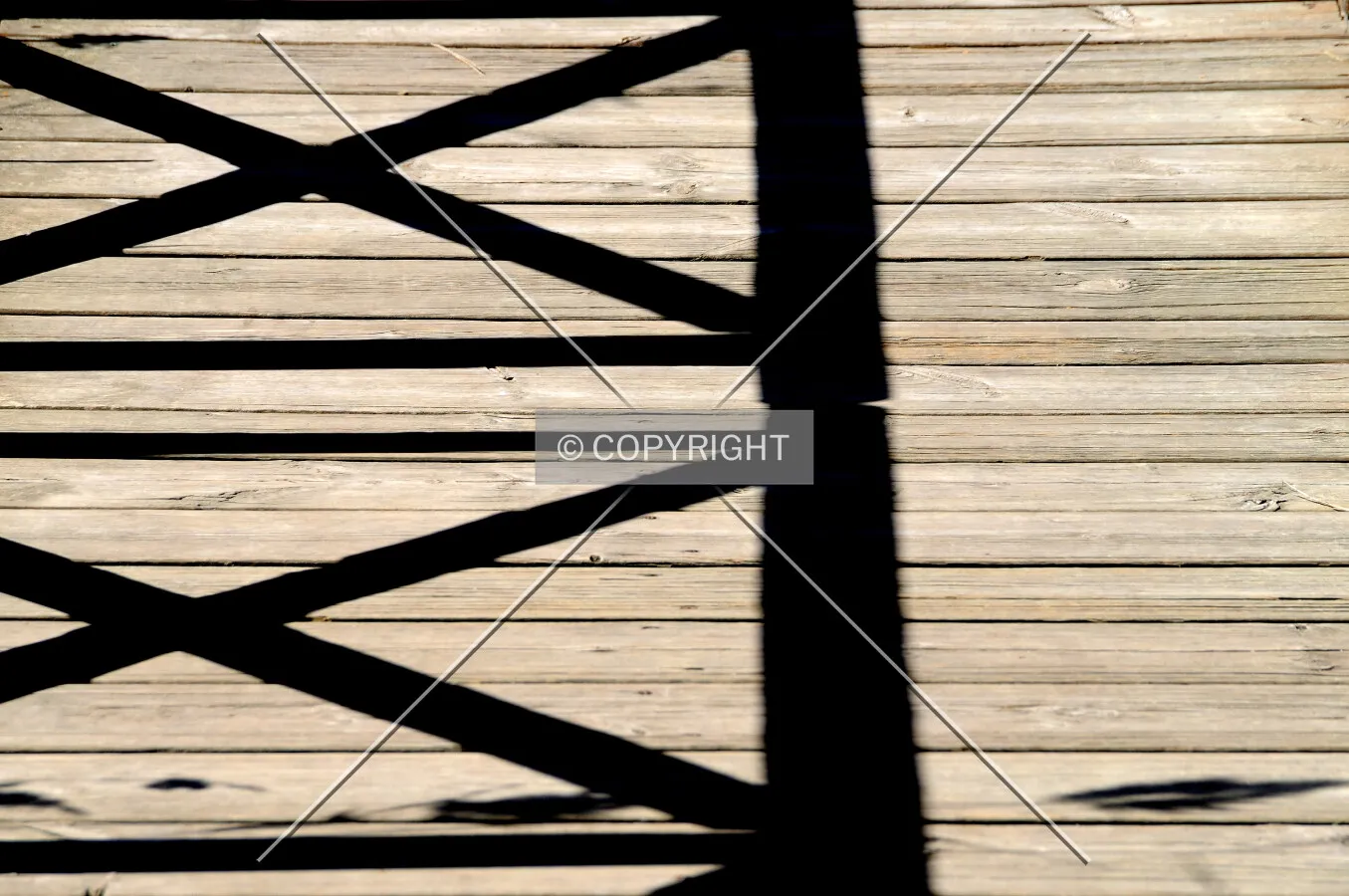 Shadows over a wood path