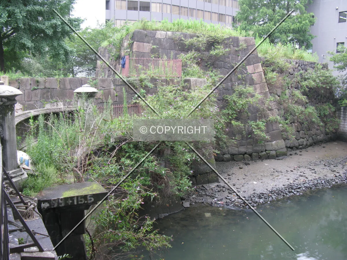Photo 338-111-964