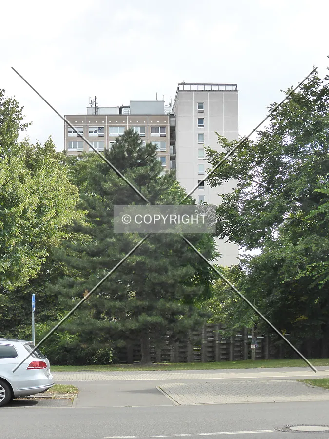Photo 338-162-149