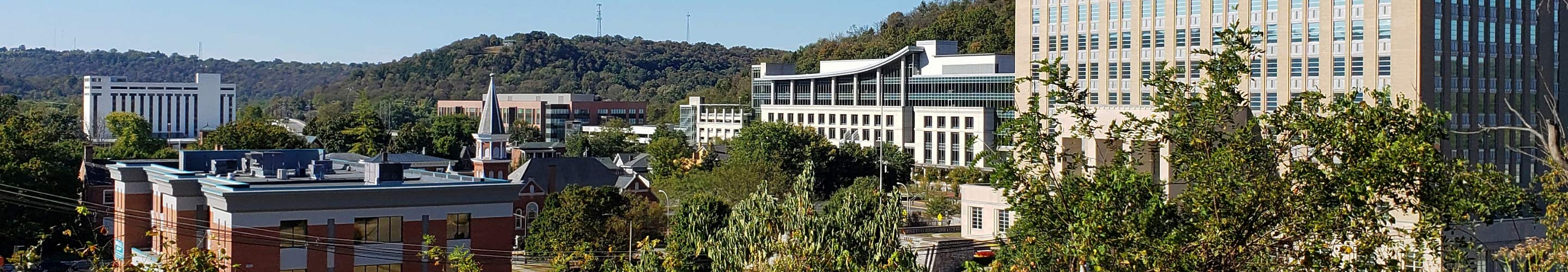 Panorama of Frankfort