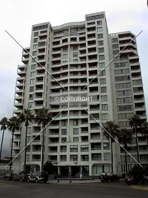 Photo 338-769-954