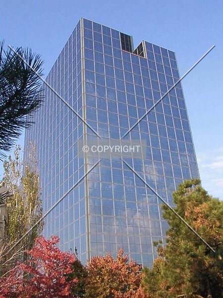 Photo 338-771-029