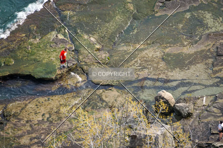 Photo 338-785-370