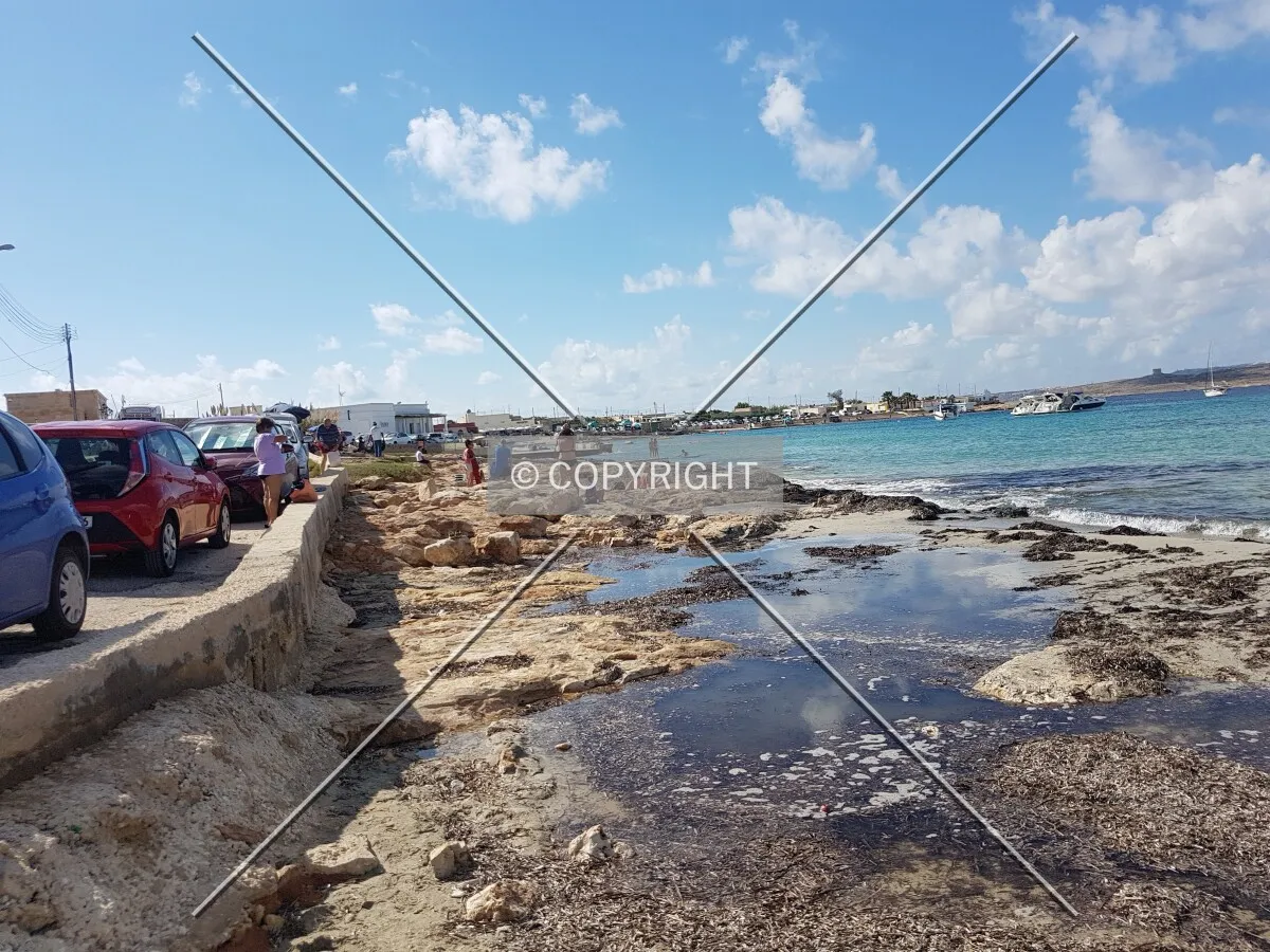 Photo 338-966-703