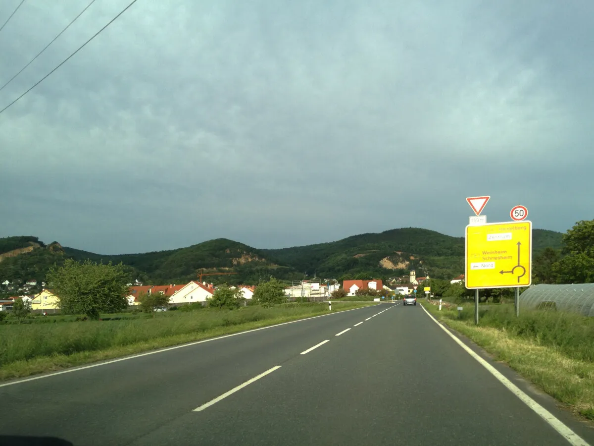 Photo 339-102-881