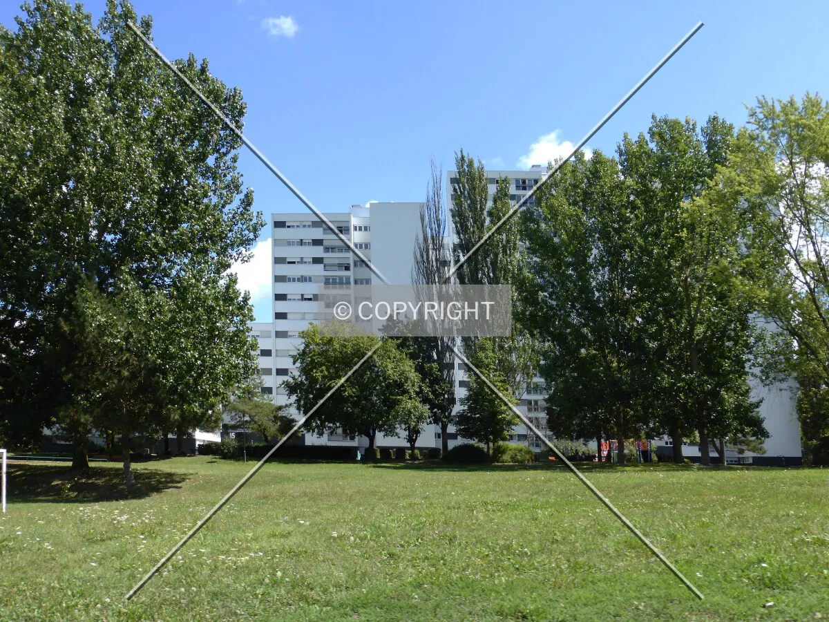 Photo 339-121-331